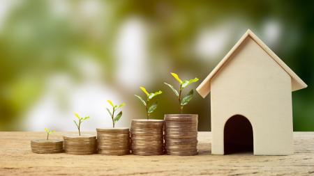 définition et explication de la gestion de patrimoine